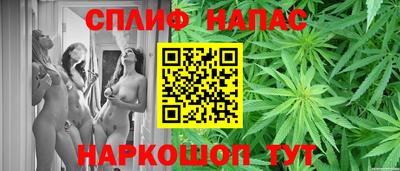 гидра Вязники