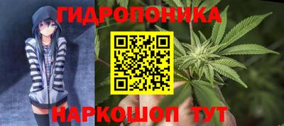 дживик Вязьма