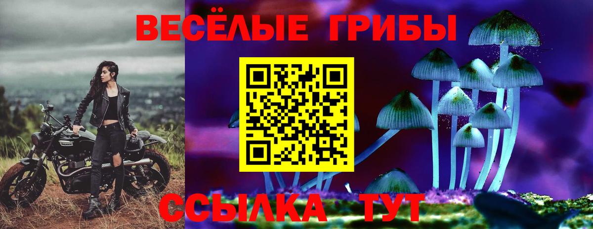 Кинель  Псилоцибиновые грибы Psilocybine cubensis  Вход с VPN 